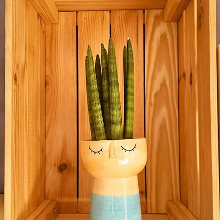 Apartmán Blue Oasis